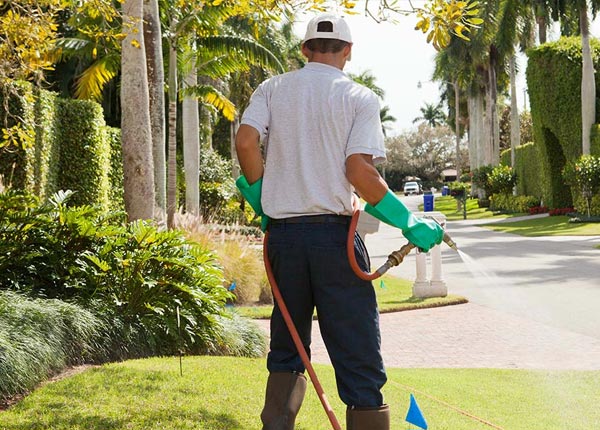 About Helmetta NJ Pest Control Pros